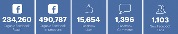 facebook_stats